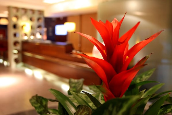 A reception area with a reception desk, a television, and a plant with red leaves.