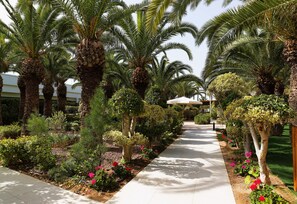 A pathway lined with palm trees and flowering plants, leading to a building with a covered area.