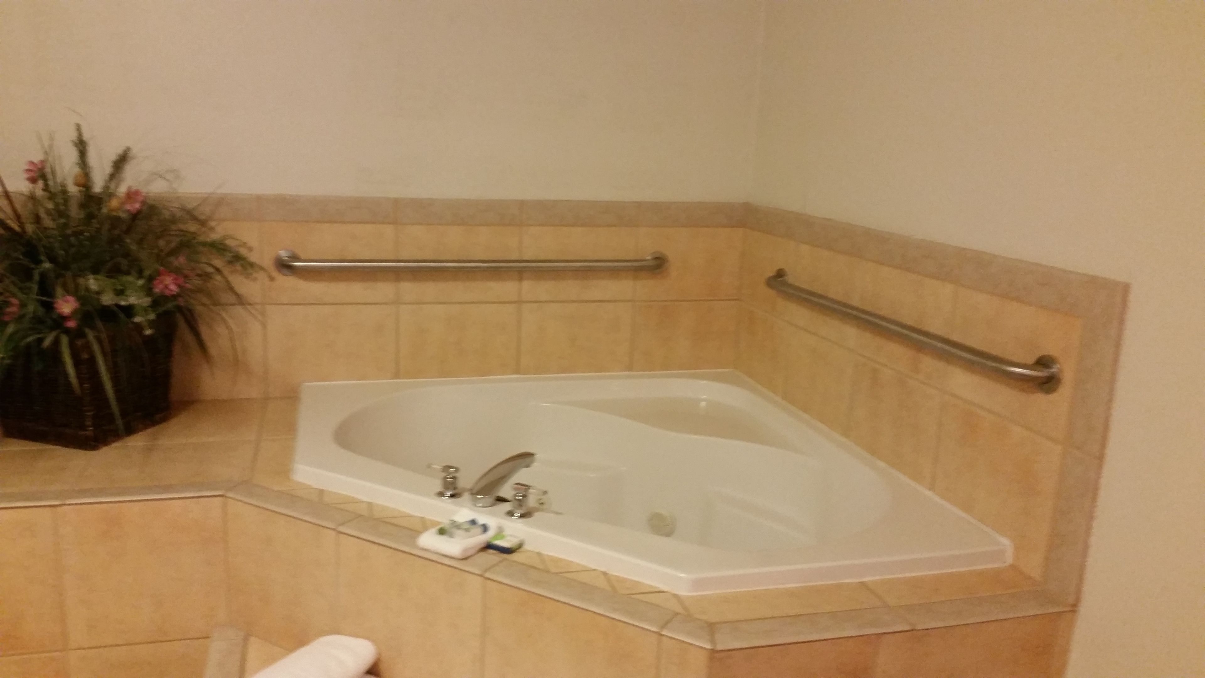 A bathroom with a bathtub, grab bars, a towel, and a plant.