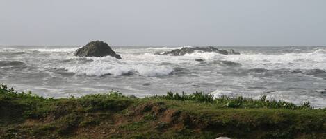 A coastal view with rough sea waves and a rocky outcrop. A sign on the fence reads "No alcoholic beverages beyond this fence."