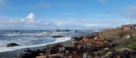 A rocky shoreline with driftwood and waves crashing onto the beach.