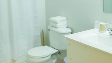 A bathroom with a toilet, a sink, a mirror, and a shower curtain.