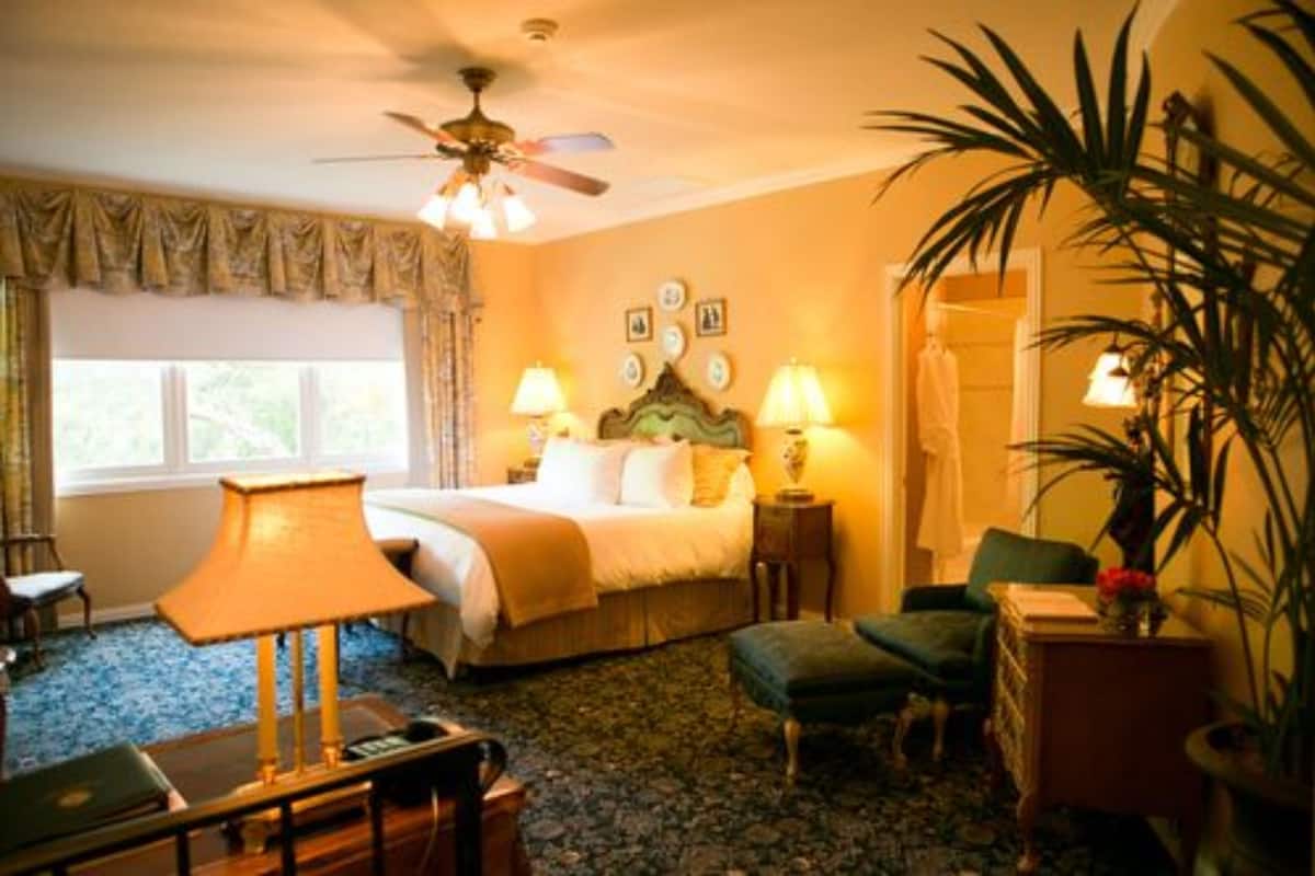 A hotel room with a bed, two bedside lamps, a ceiling fan, a green armchair, a small table, and a potted plant.