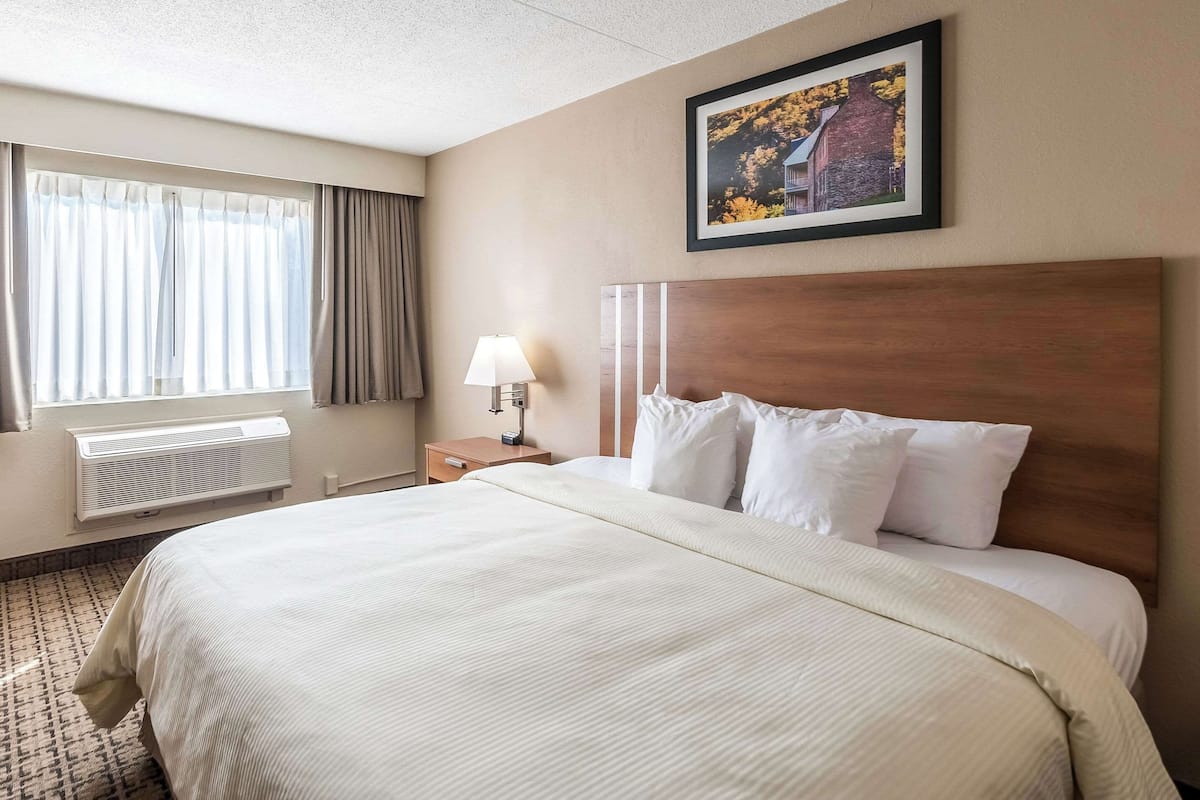 Standard Room, 1 King Bed, Non Smoking | In-room safe, desk, laptop workspace, blackout curtains