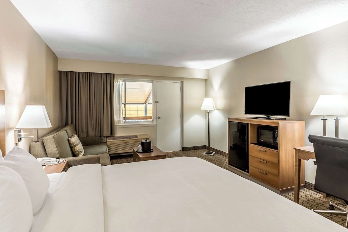 Suite, 1 King Bed with Sofa bed, Non Smoking | In-room safe, desk, laptop workspace, blackout curtains
