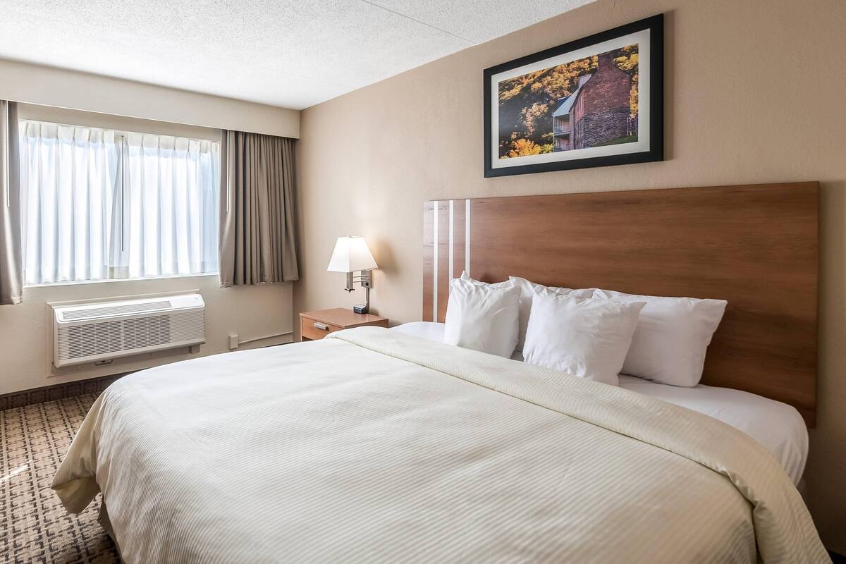 Standard Room, 1 King Bed, Non Smoking | In-room safe, desk, laptop workspace, blackout curtains
