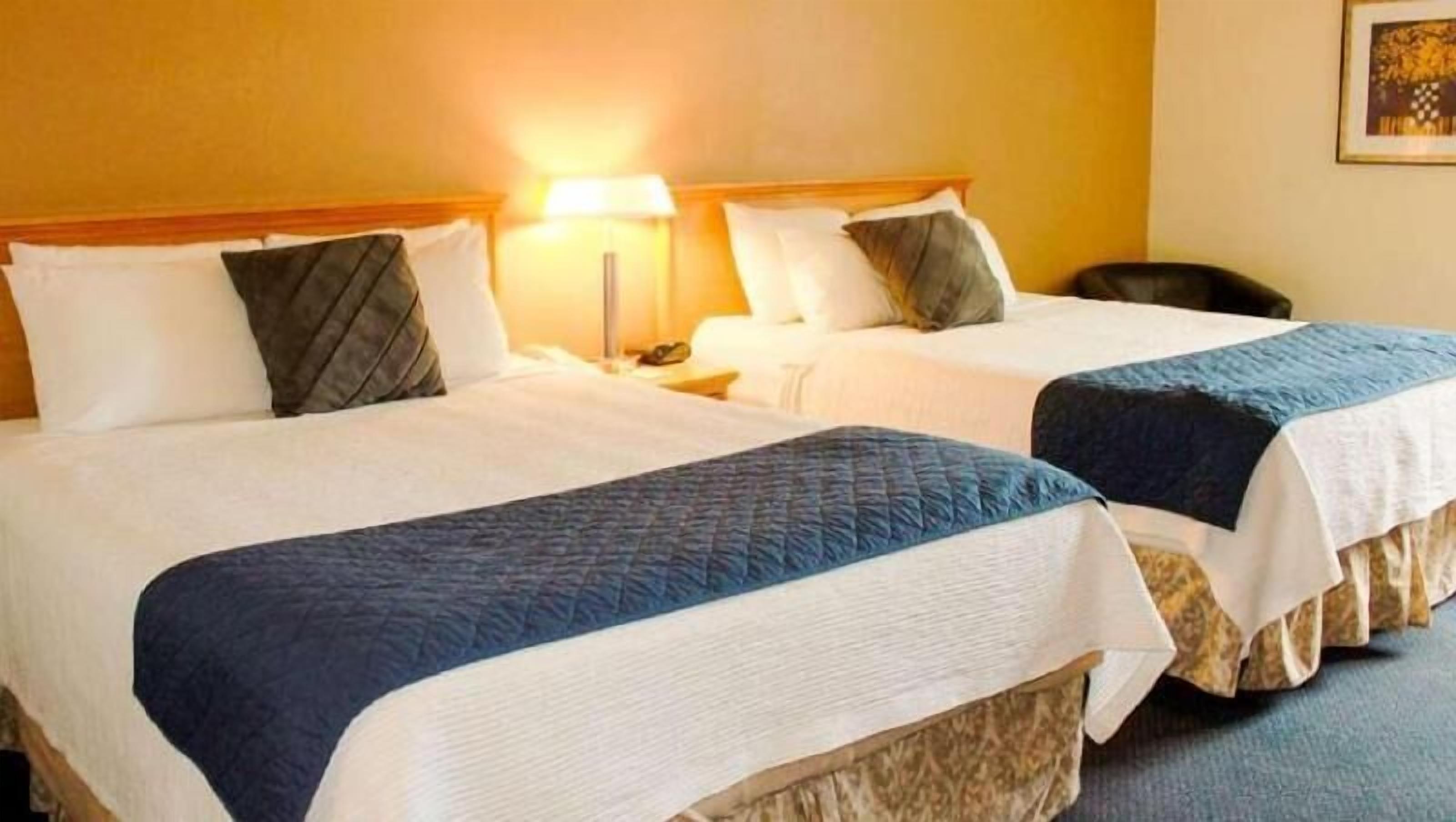 Desk, free cribs/infant beds, rollaway beds, free WiFi
