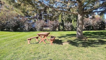 Aire de pique-nique/barbecue