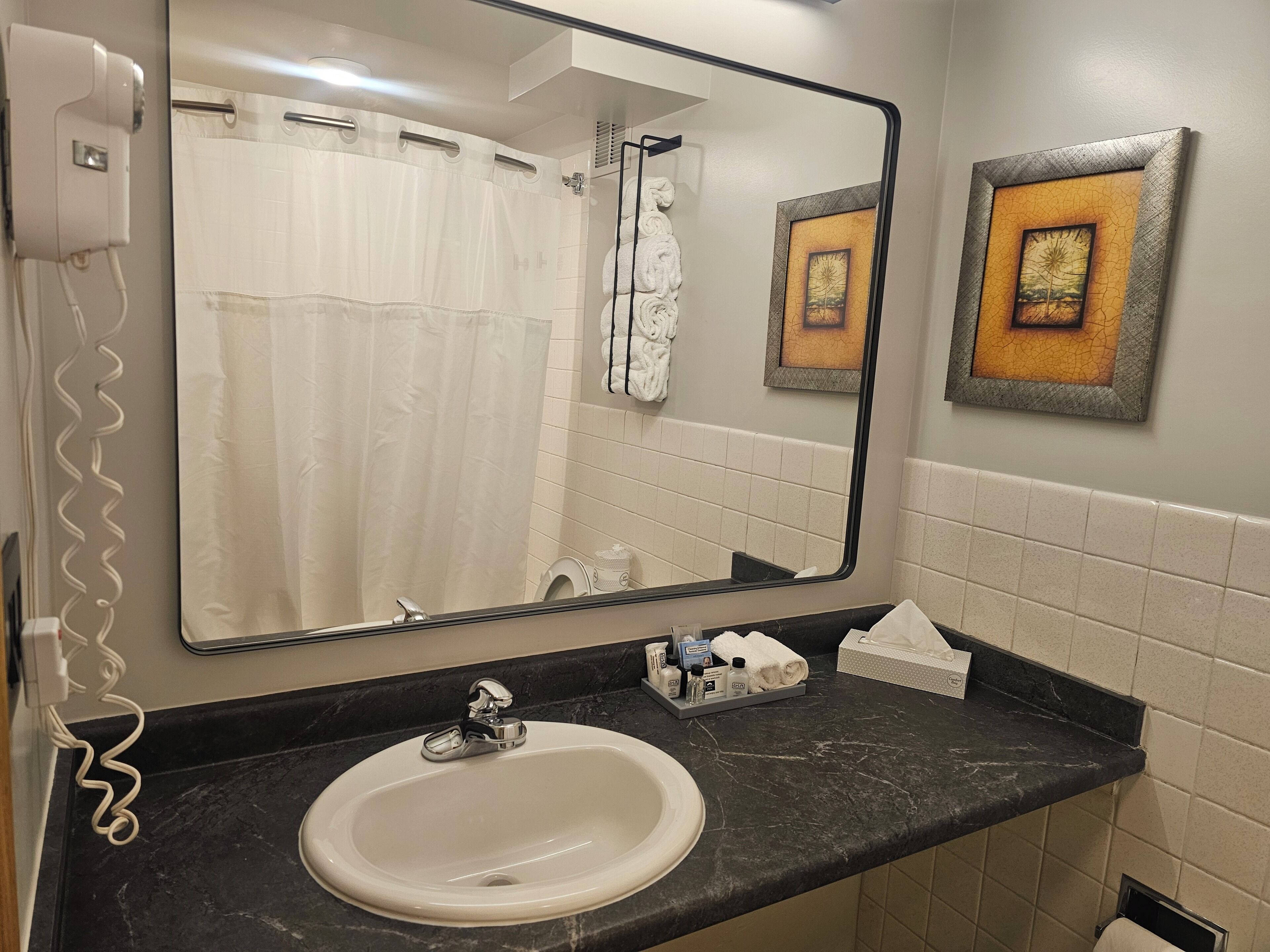 Une salle de bain avec un grand miroir, un lavabo, une douche et deux tableaux encadrés au mur.