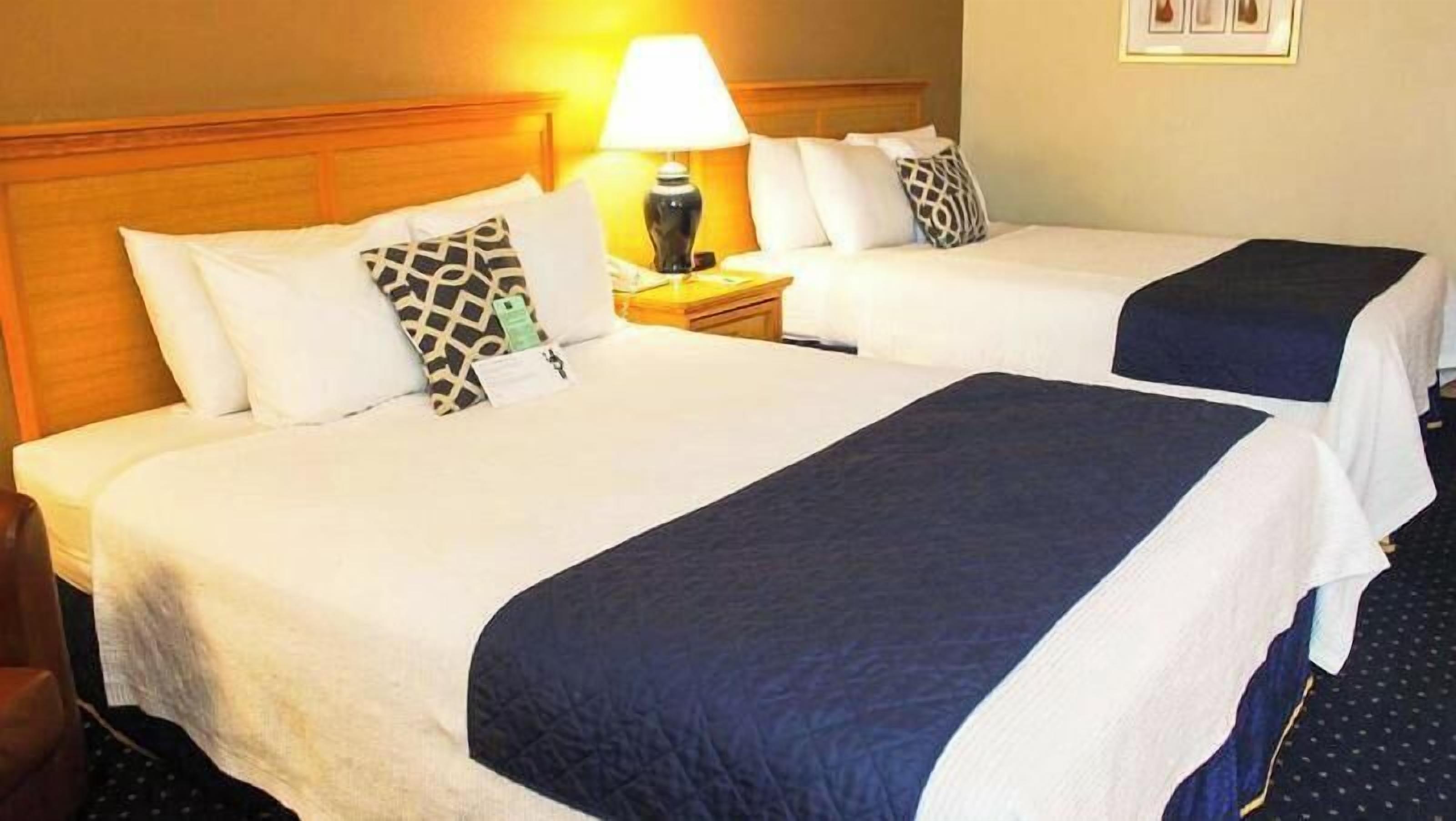 Desk, free cribs/infant beds, rollaway beds, free WiFi