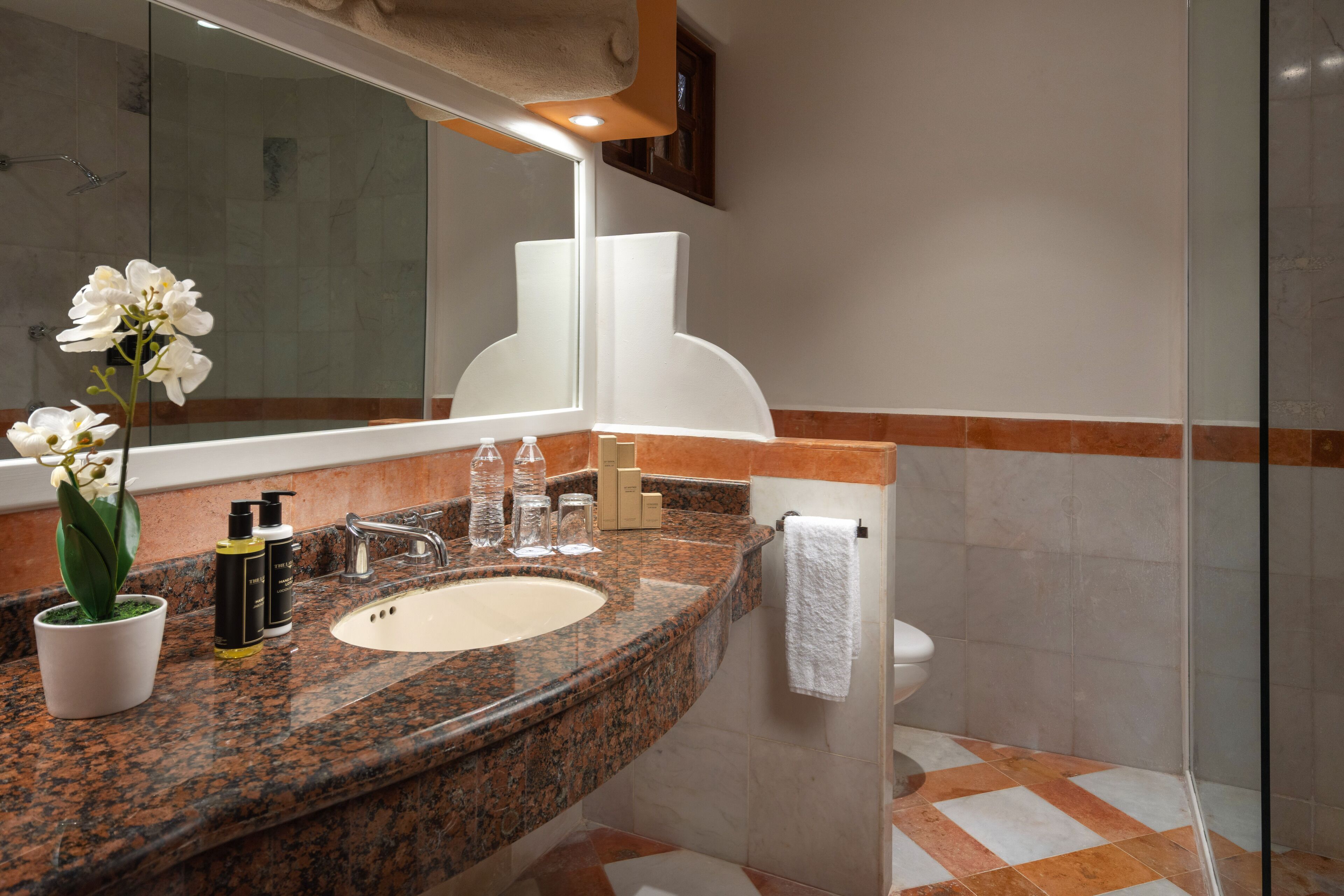 A bathroom with a granite countertop, a sink, a mirror, a potted orchid, and a shower area.