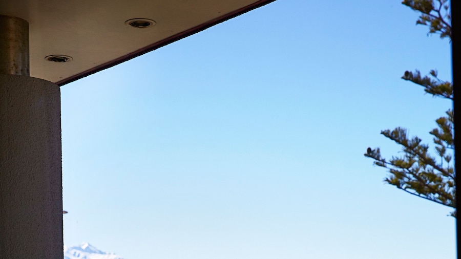 The White Morph - Heritage Collection