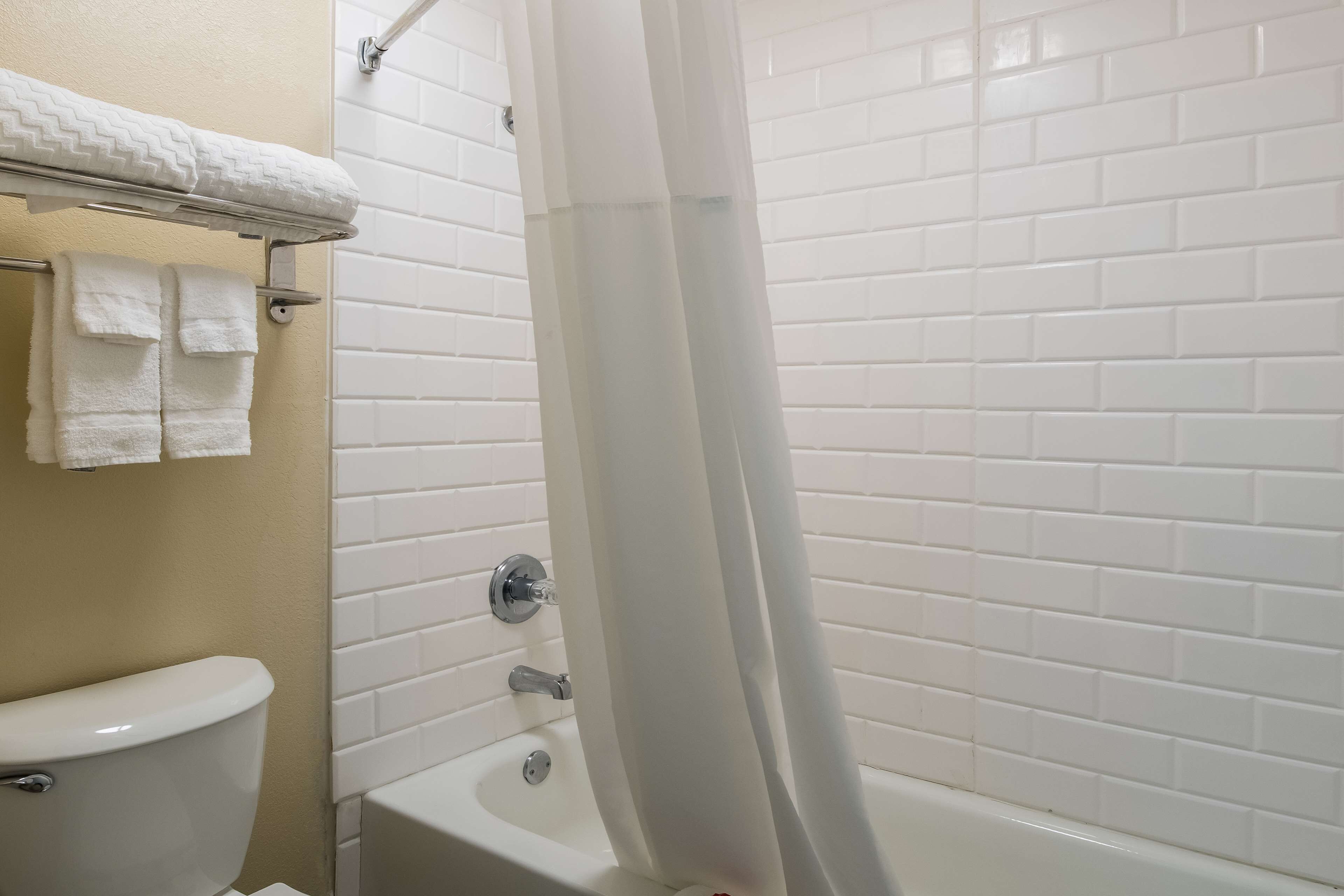 A bathroom with a toilet, a bathtub, and a shower curtain.