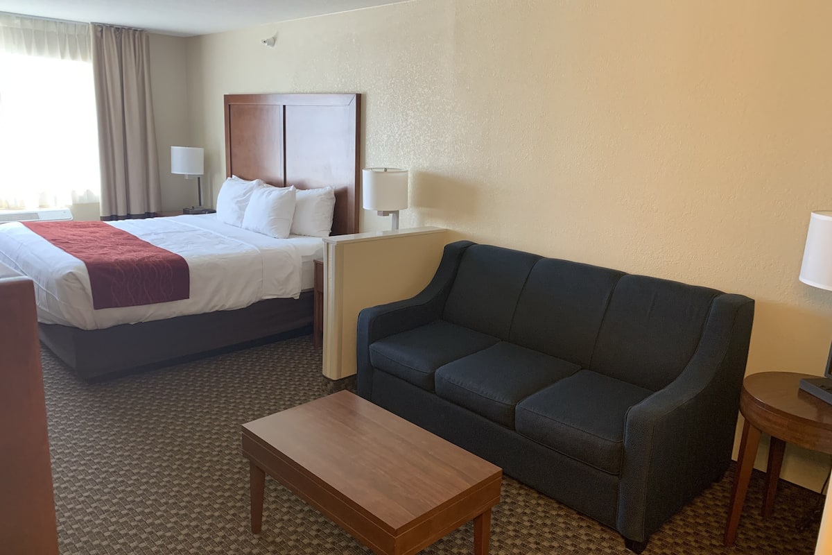 suite, 1 king bed with sofa bed, non smoking (2 person sofa bed) | desk, laptop workspace, blackout curtains, iron/ironing board