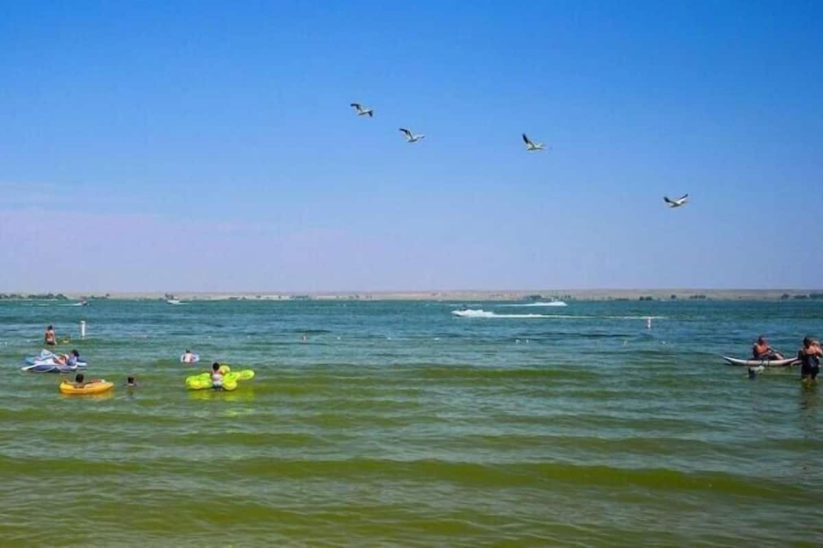 A beach scene with people in water activities, boats, and seagulls flying.