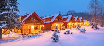 เมียตเต มาว์นทัศน์ แคบิน