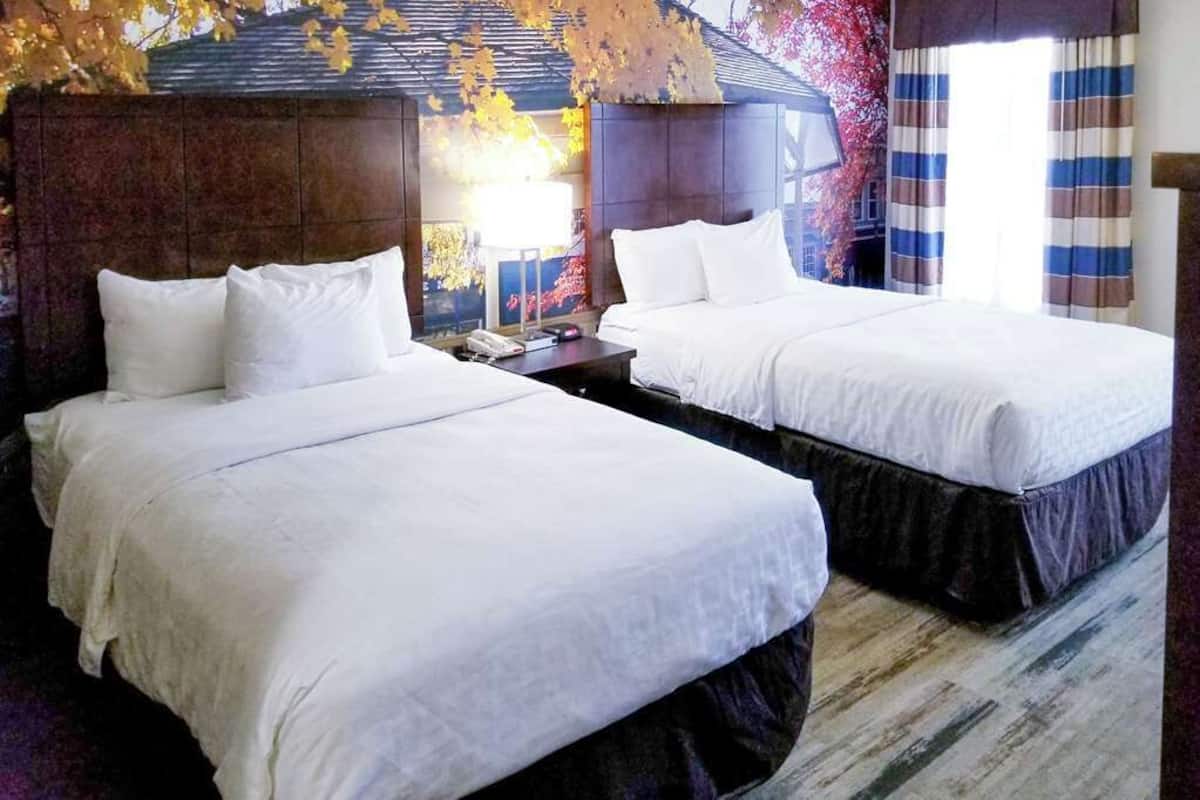 A hotel room with two beds, a nightstand, a lamp, and a view of a building with autumn leaves.