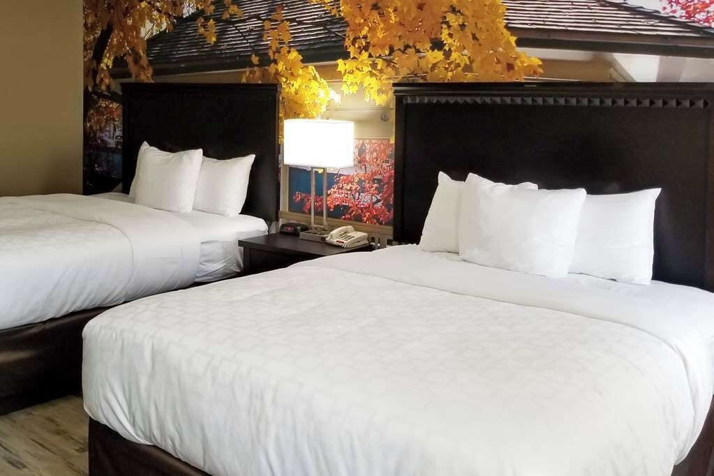 Desk, blackout curtains, iron/ironing board, free cots/infant beds