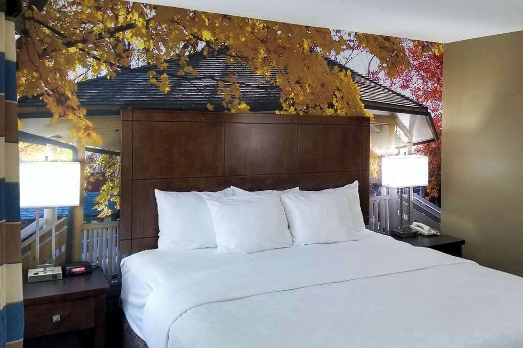 Desk, blackout curtains, iron/ironing board, free cots/infant beds