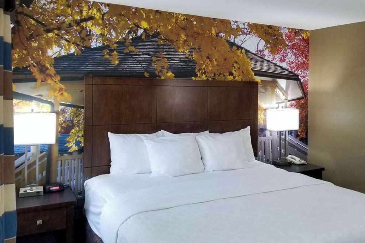A hotel room with a large bed, a wooden headboard, and a mural of autumn leaves on the wall.