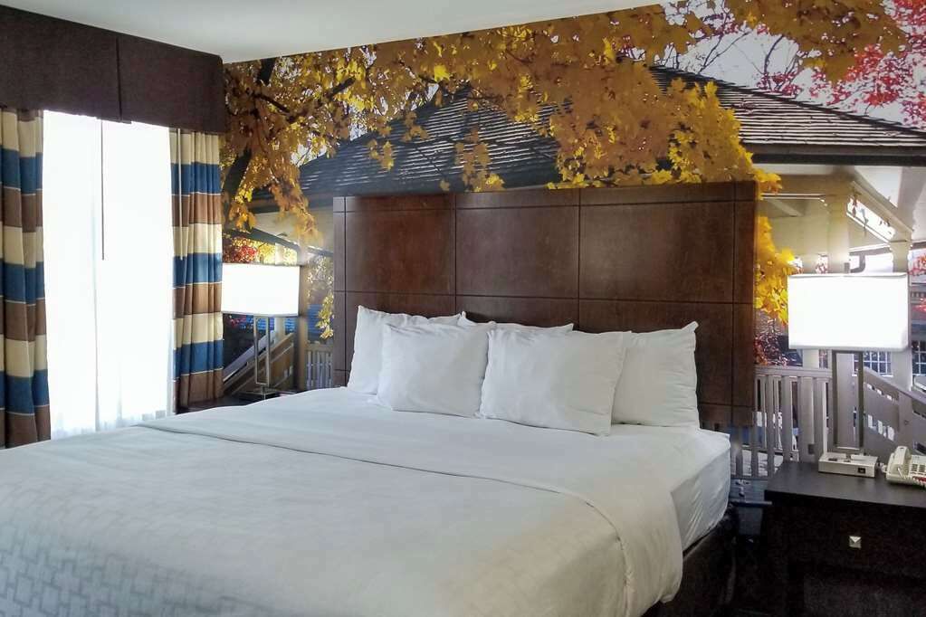 Ein Hotelzimmer mit einem großen Bett, einem Blattmuster-Kopfschild, einem Nachttisch mit Lampe und einem Vorhangfenster.