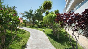A stone pathway leading through a well-maintained garden with various plants and a palm tree. - Catalonia Oro Negro (Arona)