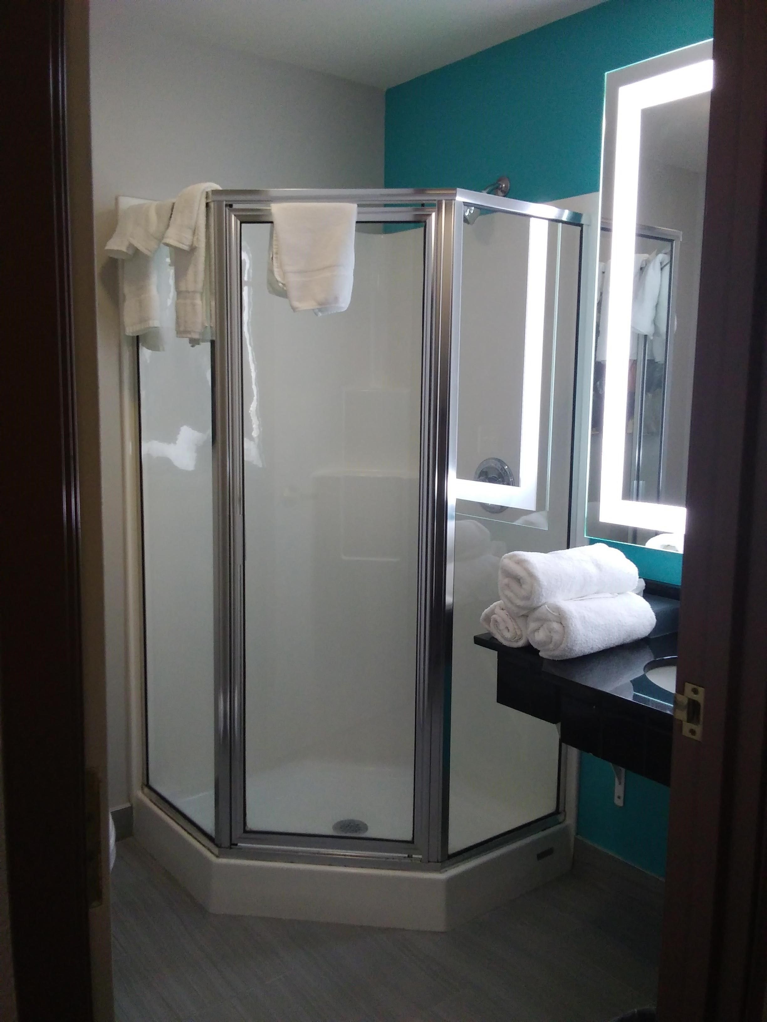 shower, free toiletries, hair dryer, towels