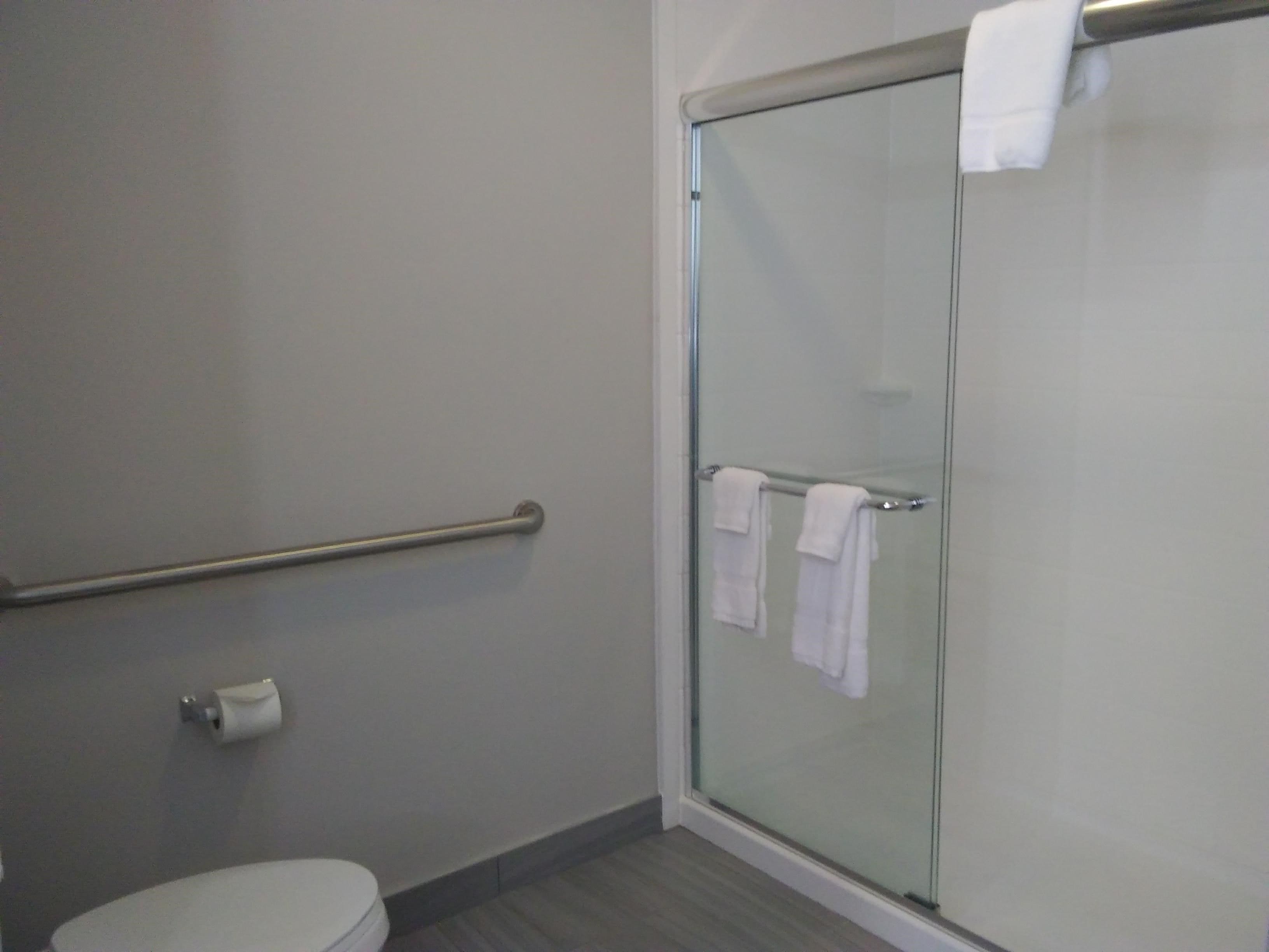 Un baño con cabina de ducha de vidrio, inodoro y pasamanos.