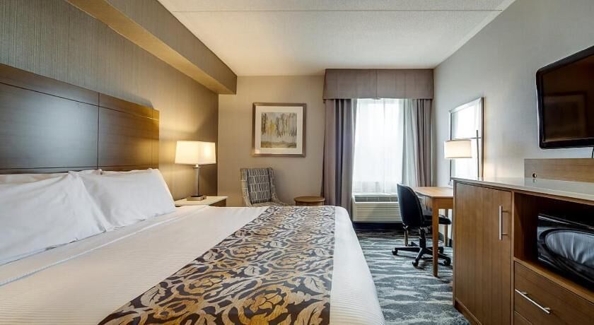 Premium bedding, in-room safe, desk, blackout drapes