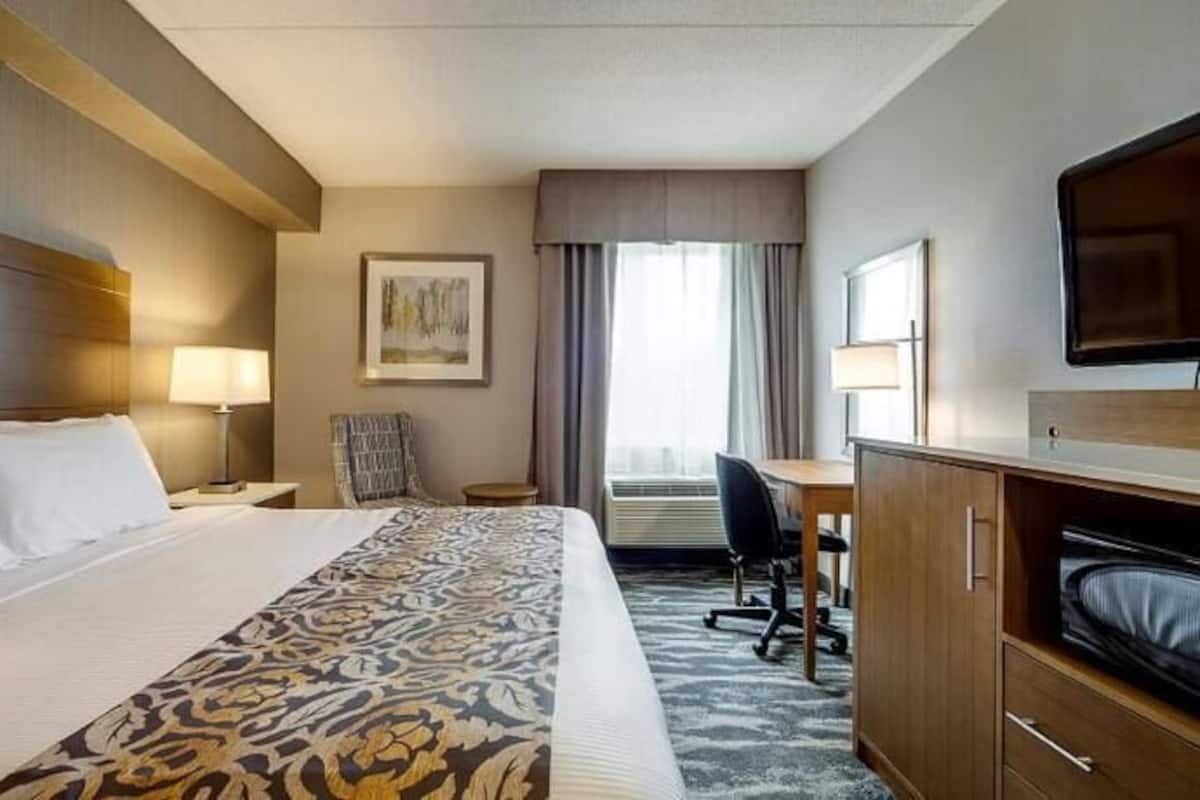 Premium bedding, in-room safe, desk, blackout drapes