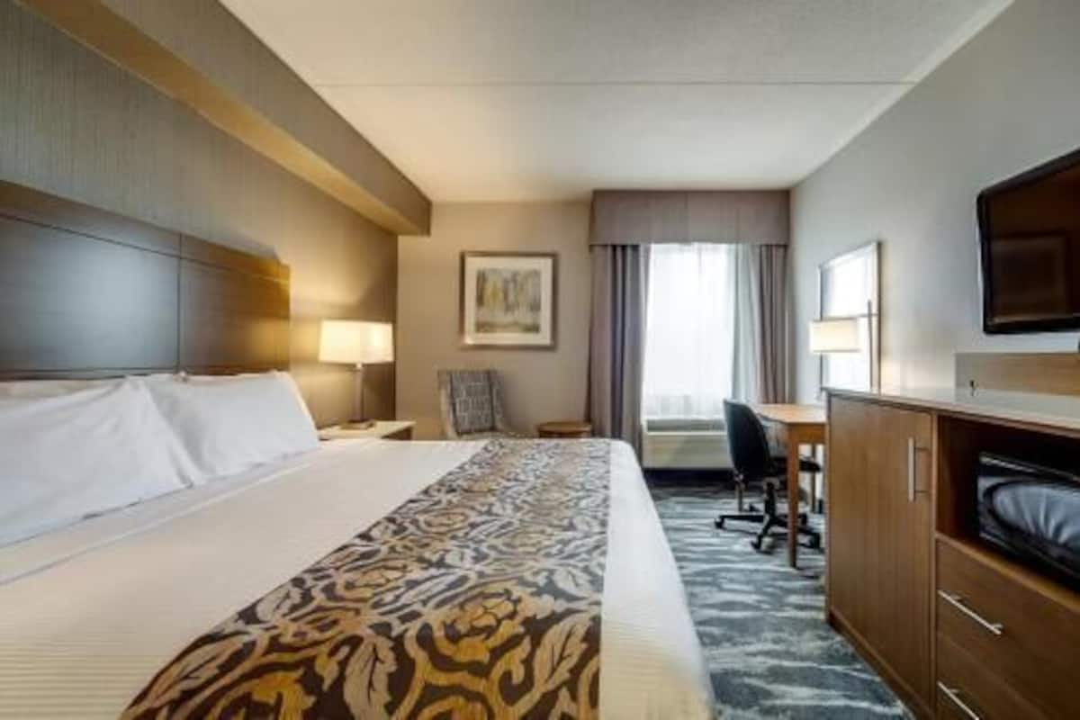 Premium bedding, in-room safe, desk, blackout drapes