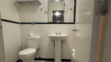 Combined shower/tub, hair dryer
