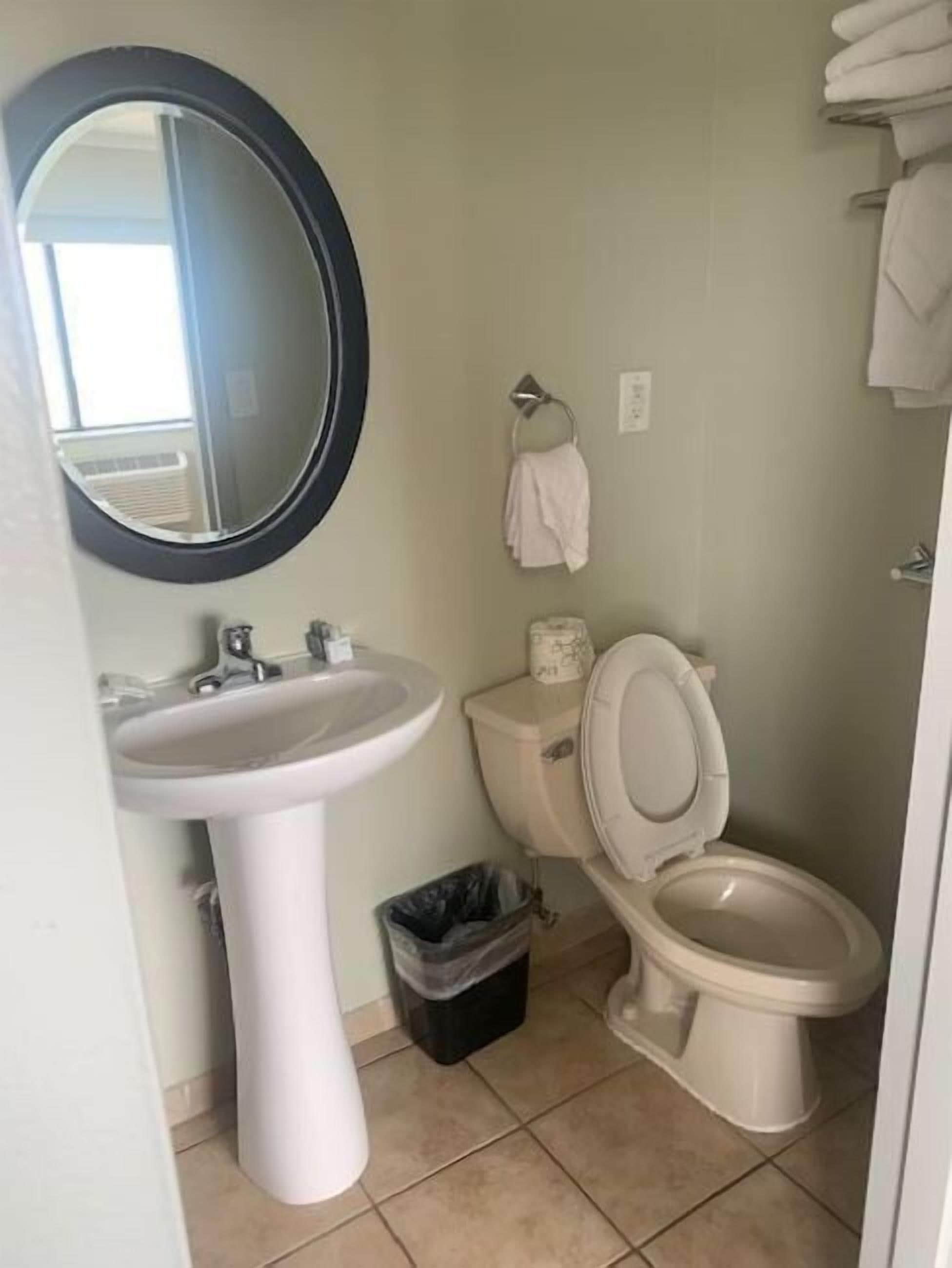 A bathroom with a sink, toilet, and a mirror.