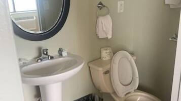 A bathroom with a sink, toilet, and a mirror.