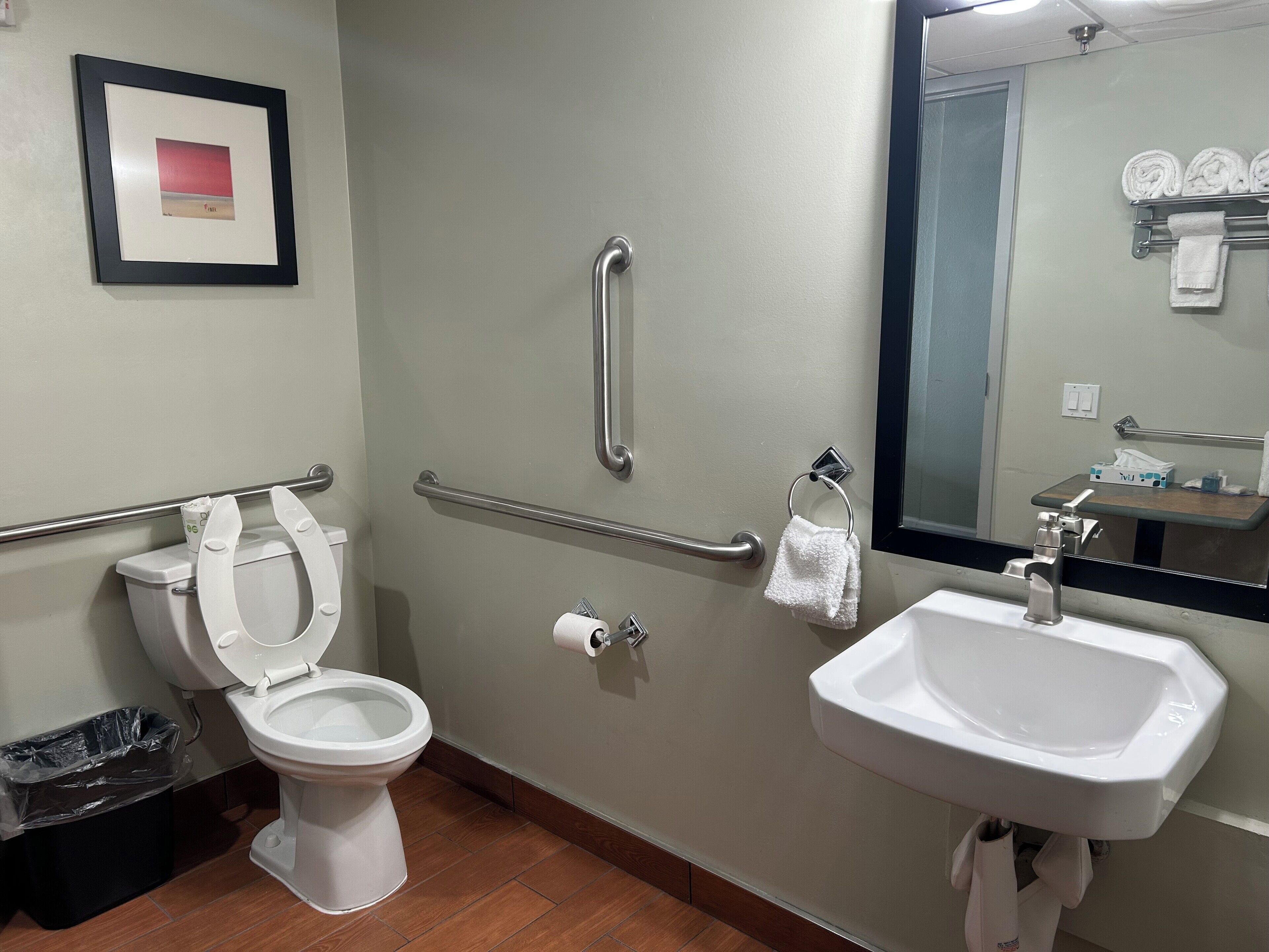 A bathroom with a toilet, a sink, a handrail, a towel rack, and a framed picture on the wall.
