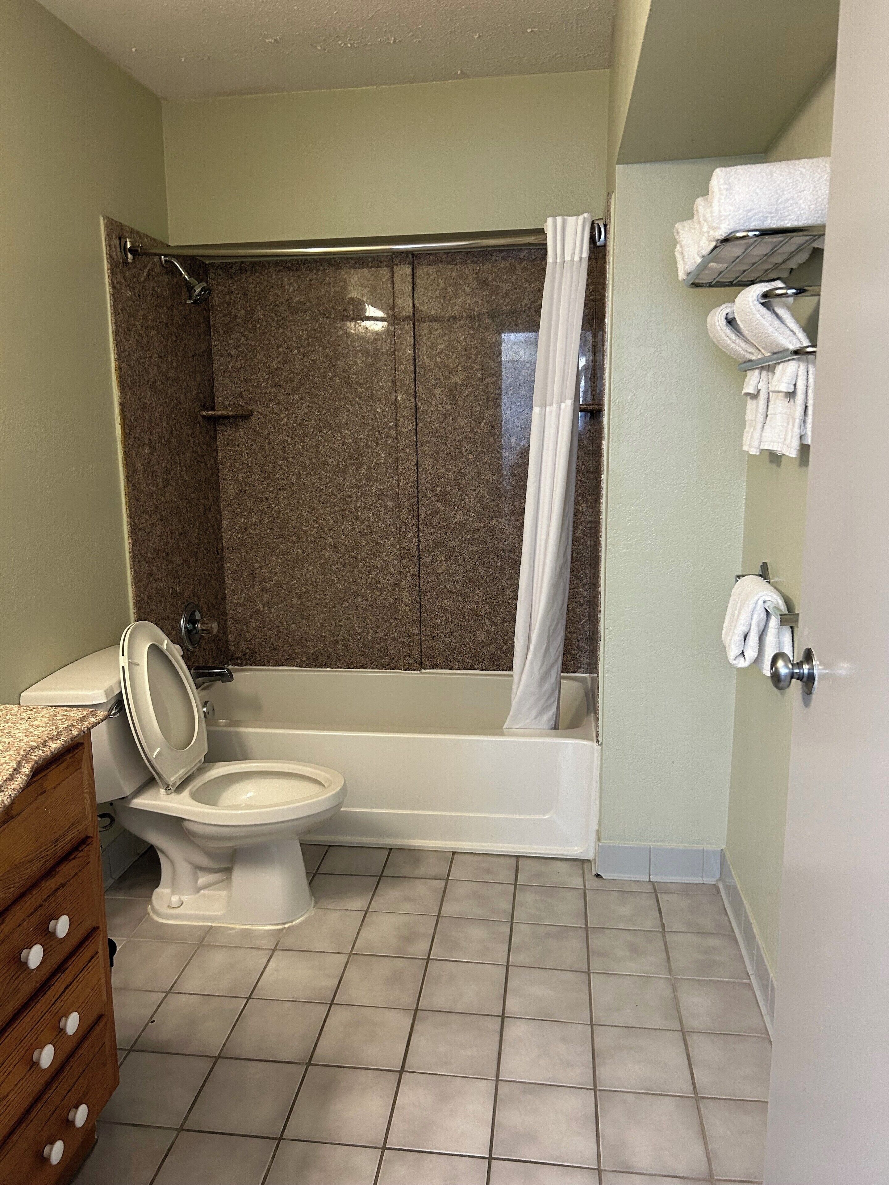 A bathroom with a shower, toilet, and a vanity with drawers.