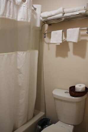 Combined shower/tub, free toiletries, hair dryer, towels