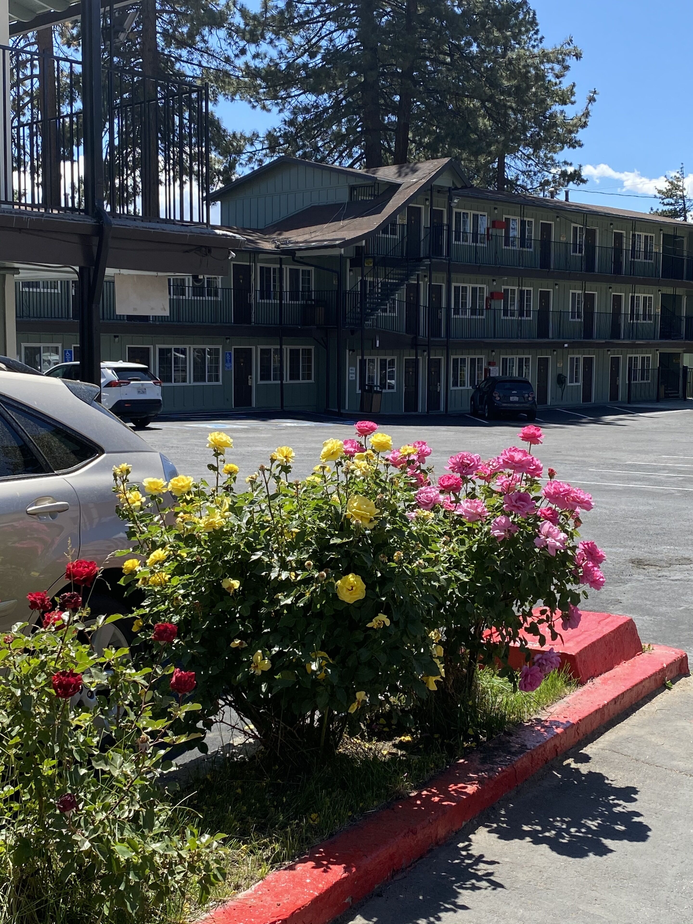 Photo - Budget INN At The Heavenly Gondola