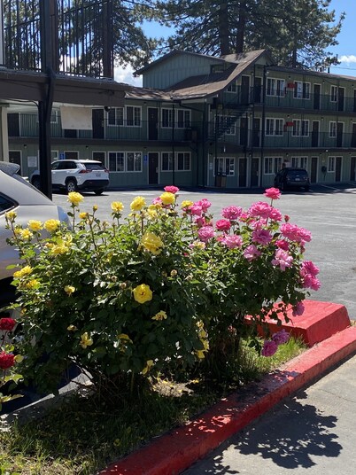 Budget INN At The Heavenly Gondola