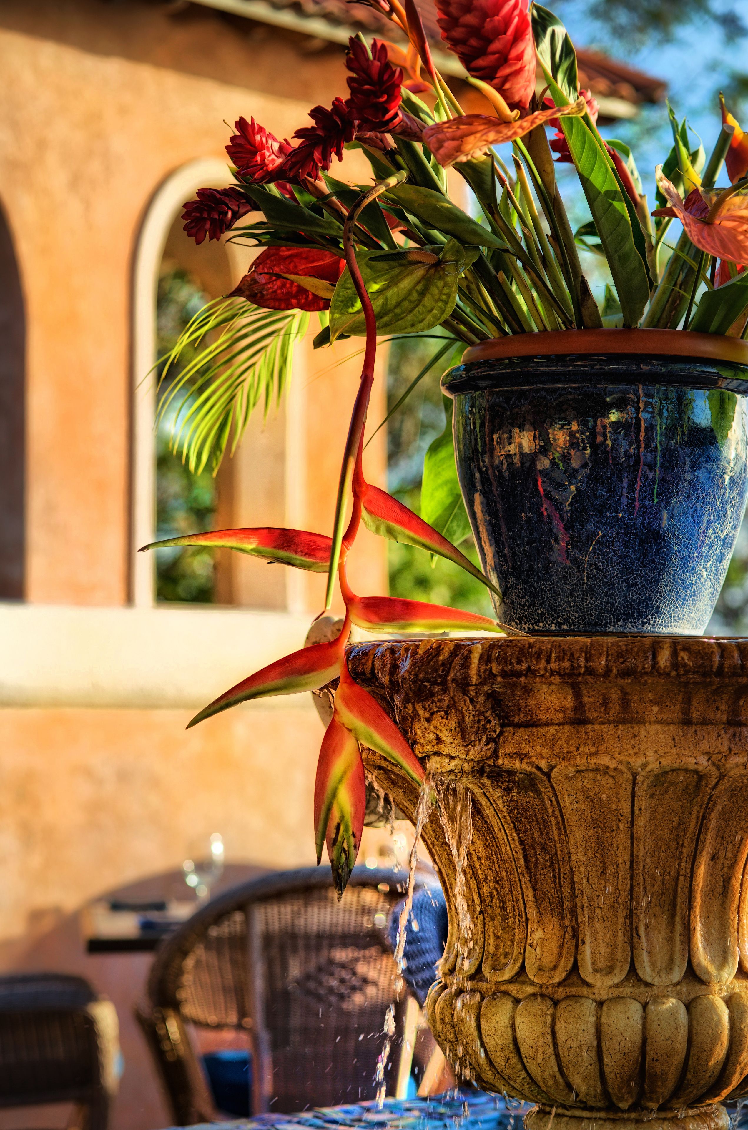 breakfast, lunch, dinner served; fusion cuisine, sea views