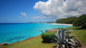 Un paysage côtier avec une mer d’un bleu limpide, une plage de sable et une zone herbeuse où pousse un grand agave.