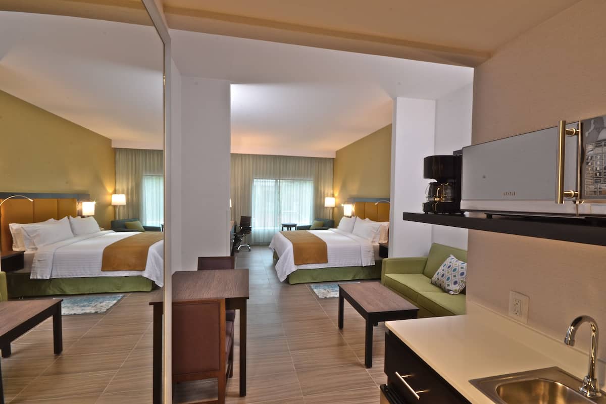 suite, 1 king bed (living) | private kitchen | coffee/tea maker, electric kettle