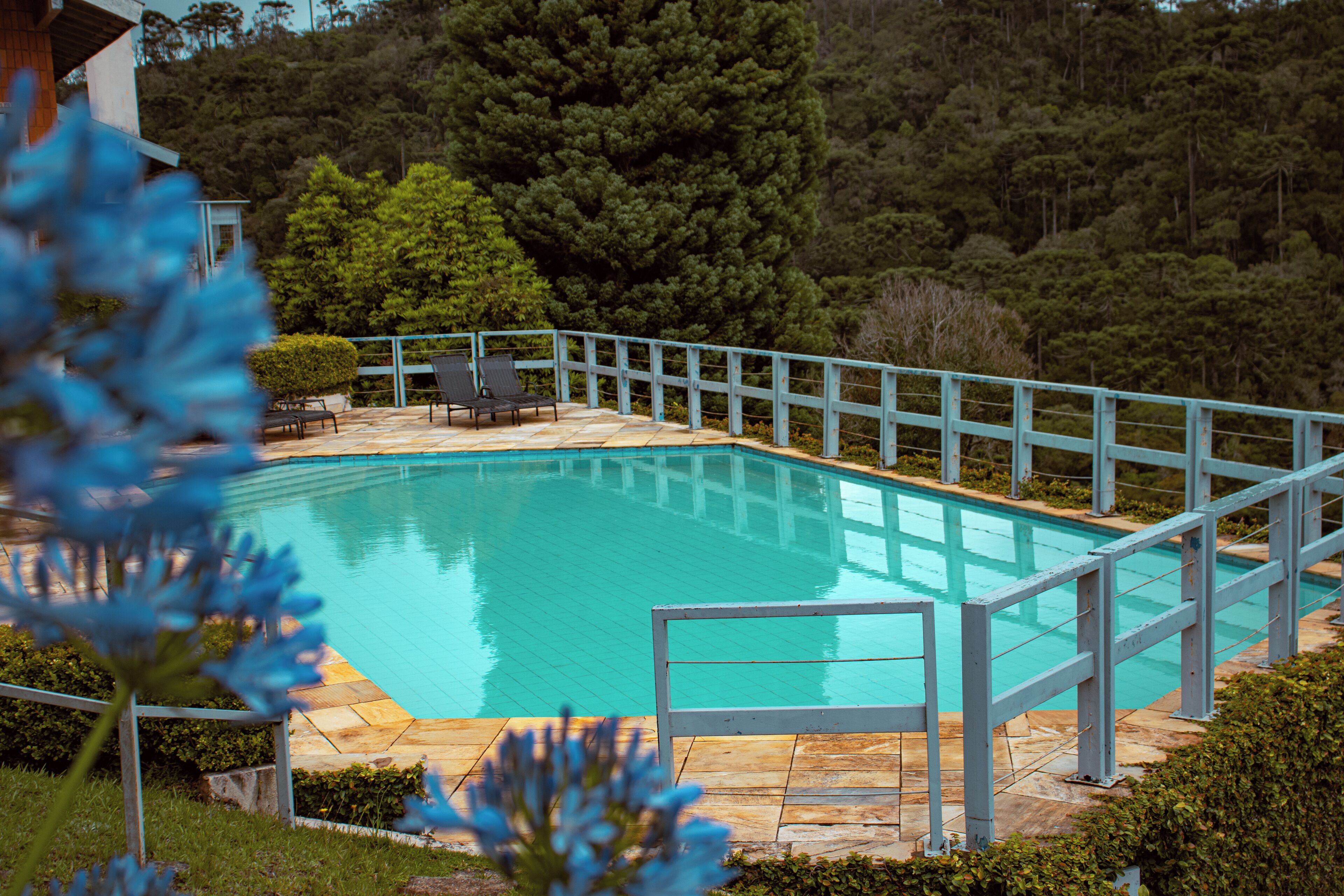 Outdoor pool, sun loungers