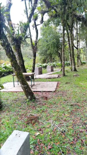 Ngoại thất