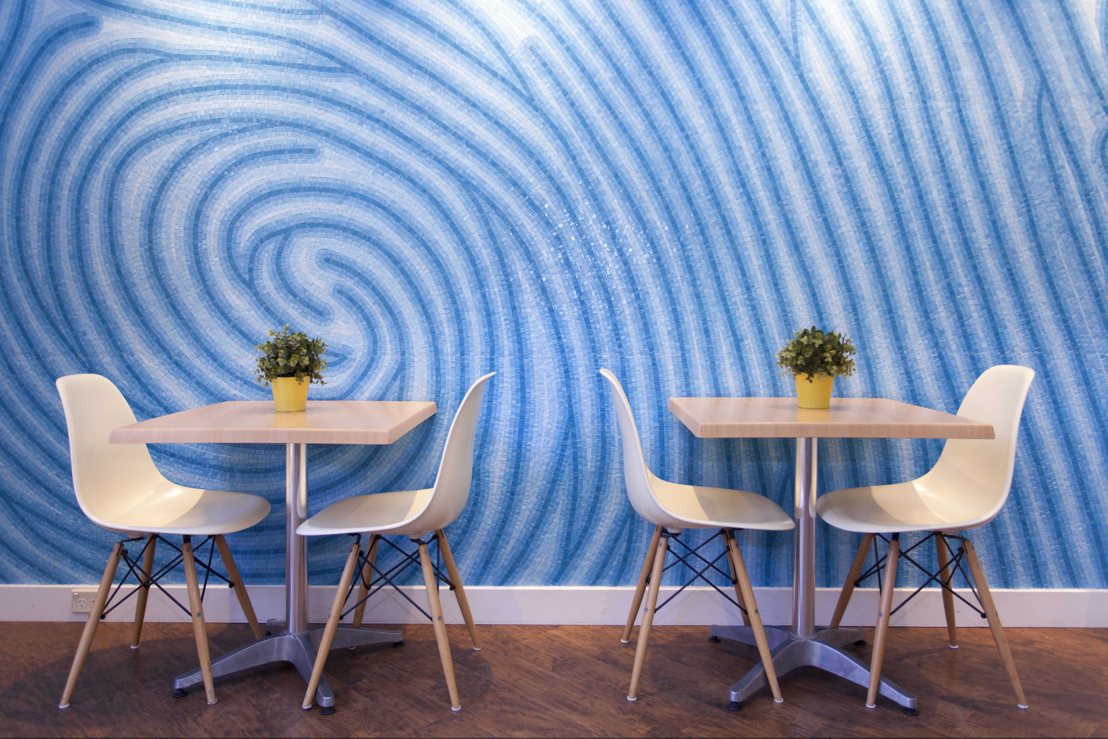 A dining area with a spiral blue wallpaper, two white chairs, and a small yellow table with a potted plant.