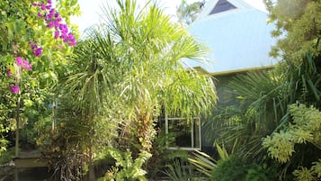 A lush garden with various plants and a building with a blue roof.