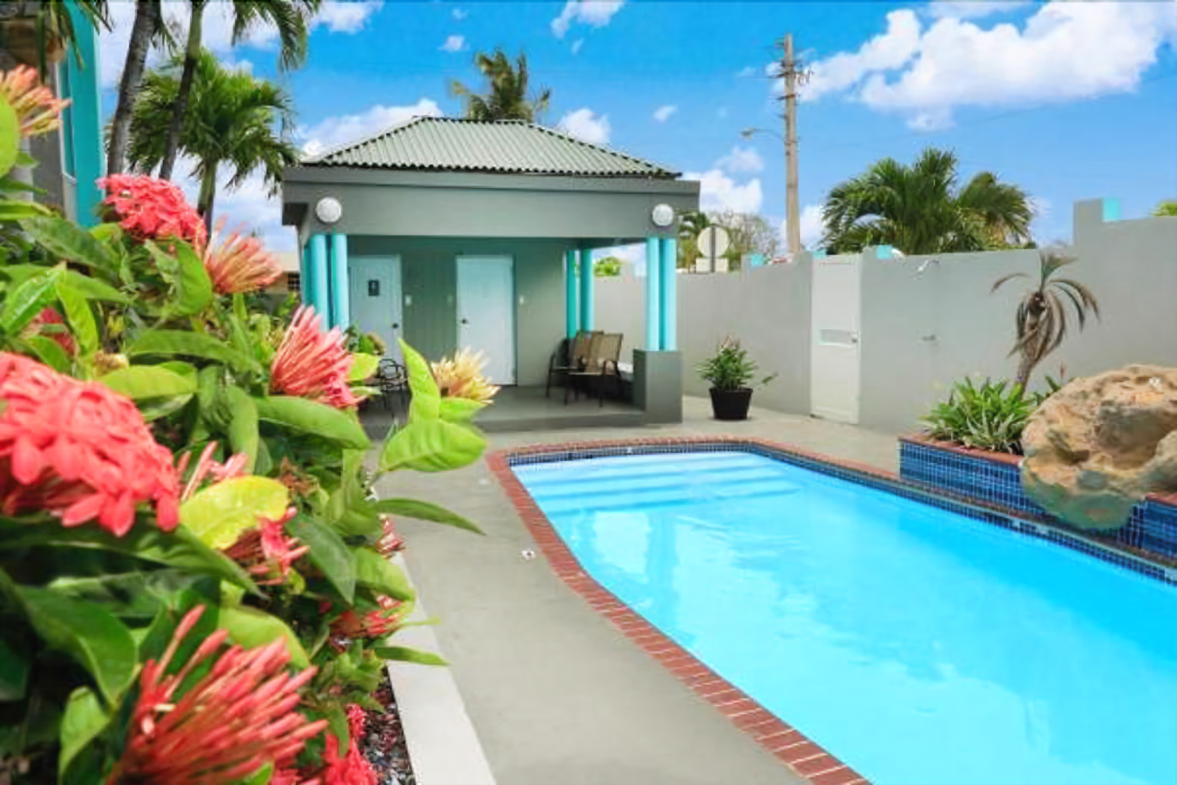 室外泳池；09:00 至 21:00 開放；躺椅