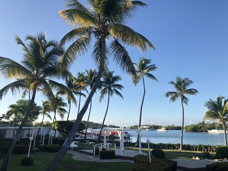 Parador Villa Parguera - Image 52