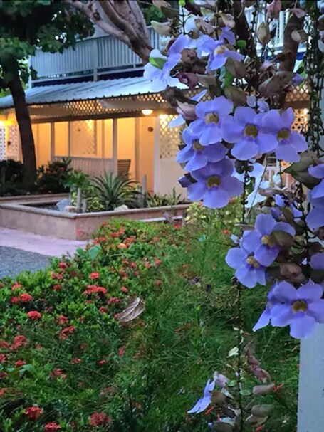 Parador Villa Parguera - Image 30