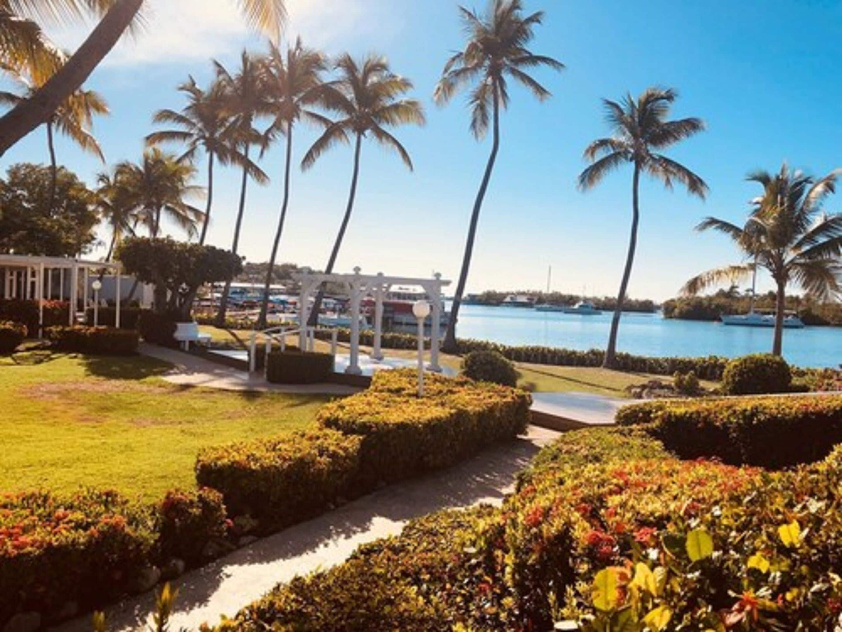 A landscaped garden with palm trees, a white gazebo, and a view of the water.